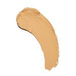 Revolution Fast Base Foundation Stick - F5