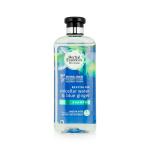 Herbal Essences bio:renew Micellar Water & Blue Ginger Revitalise Conditioner 400 ml